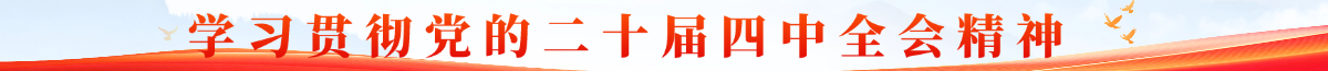 学习贯彻党的二十届四中全会精神